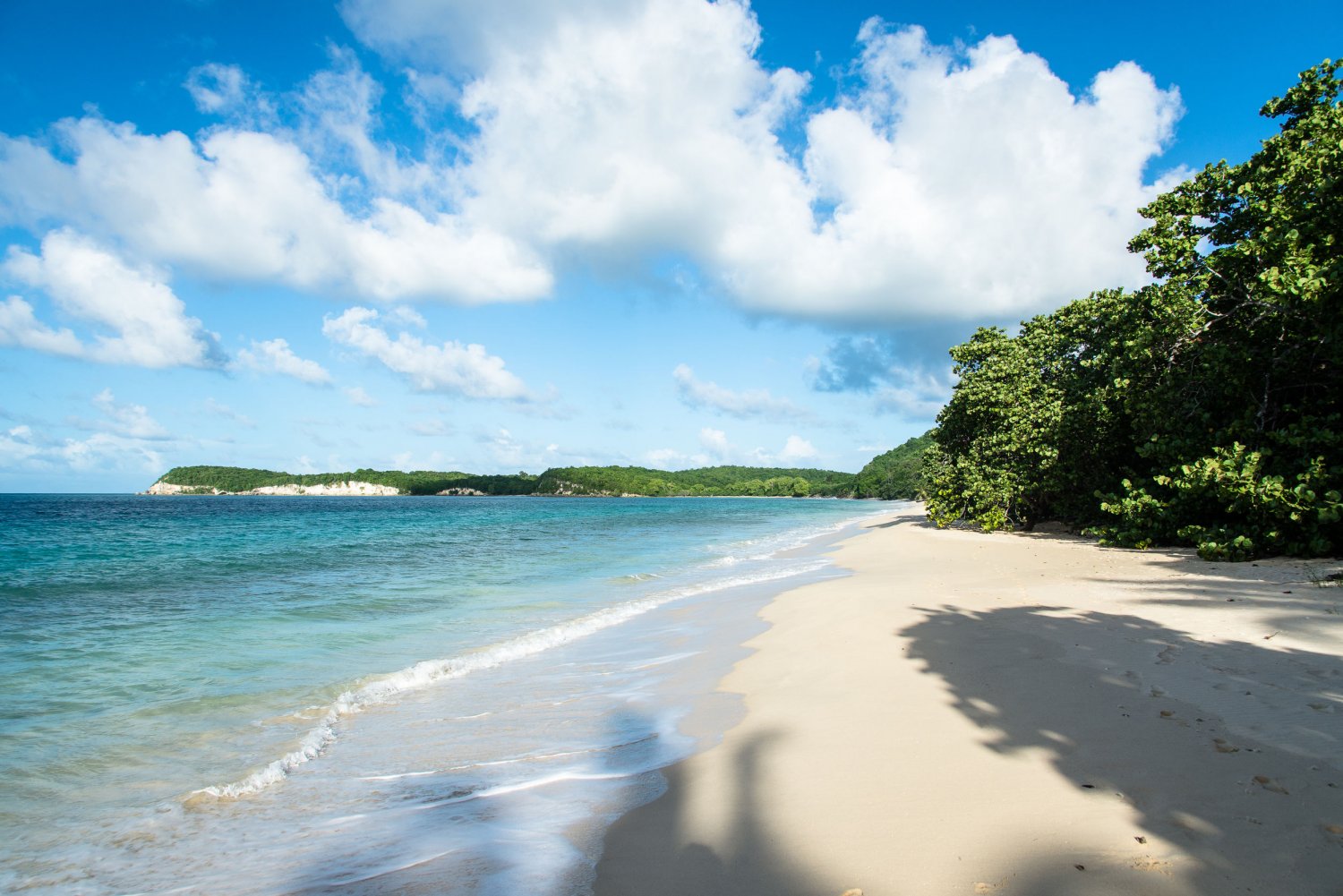 Plage Marie Galante