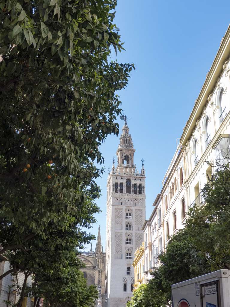 Que faire à Séville ? Voir la Giralda
