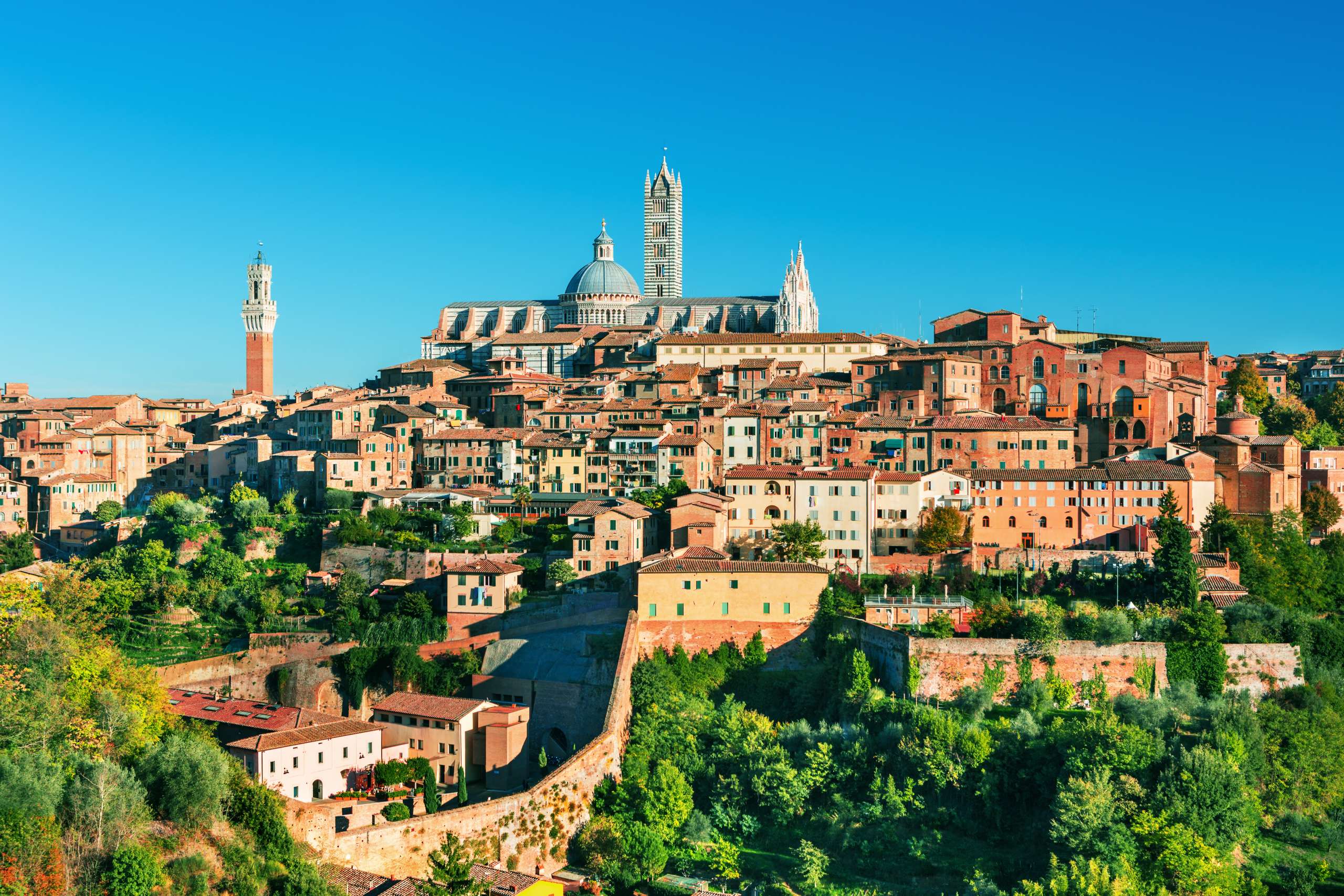 Panorama sur la ville de Sienne